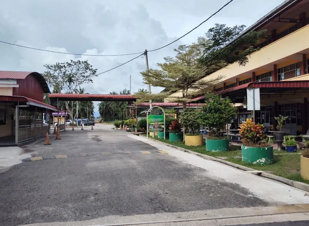 Flower pots lining a walkway in the school grounds